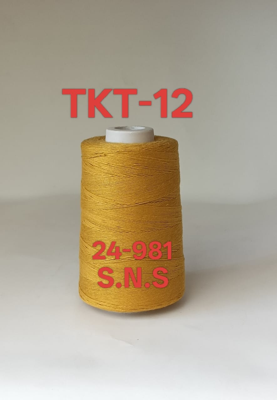 24-981