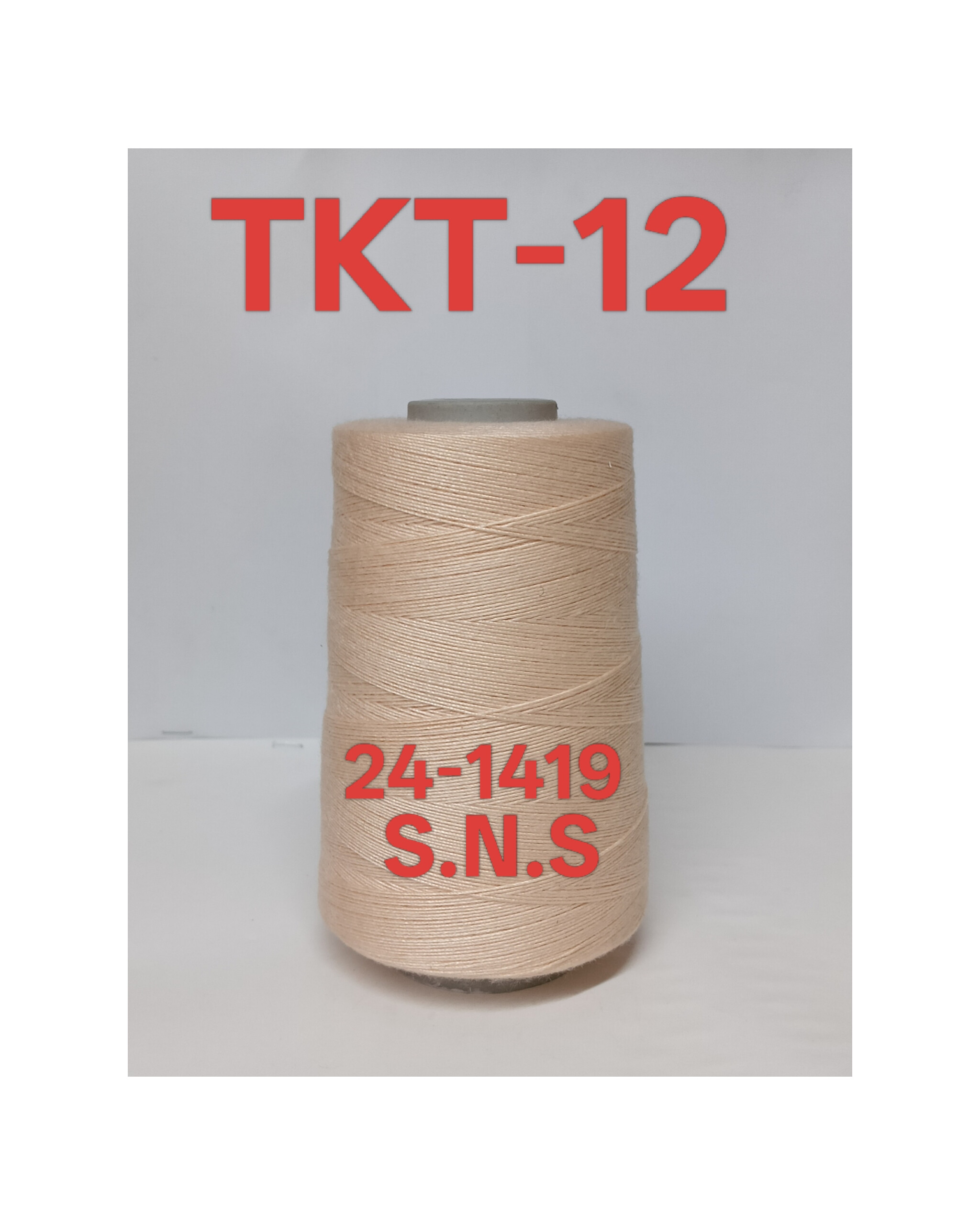 24-1419