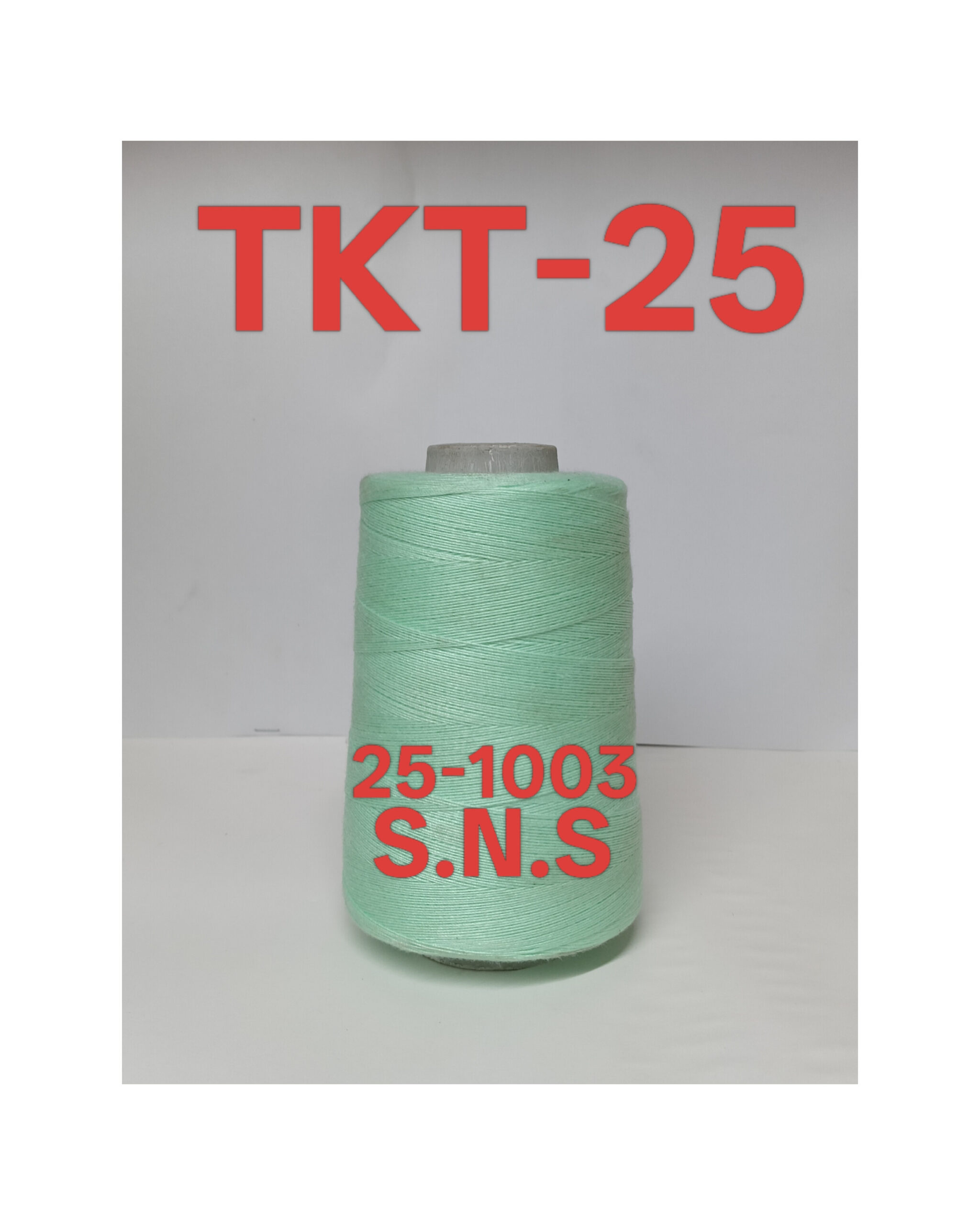 25-1003
