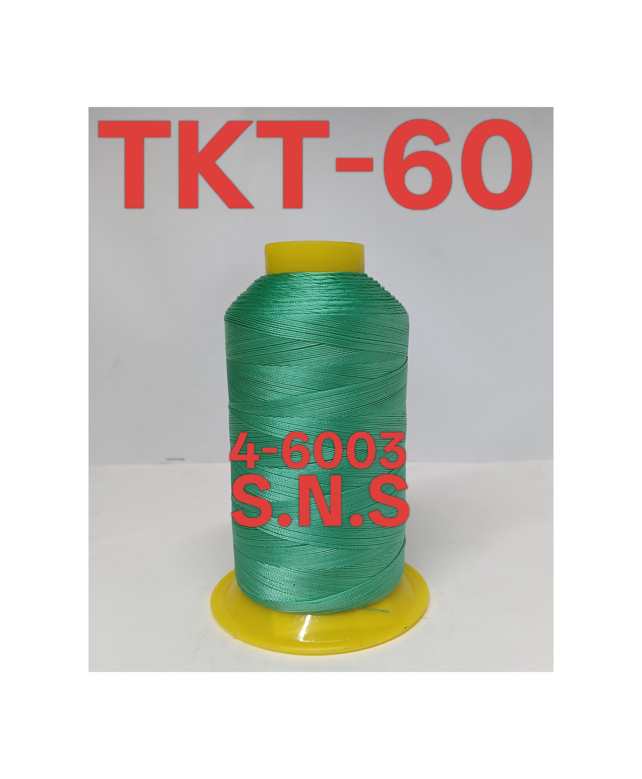 4-6003